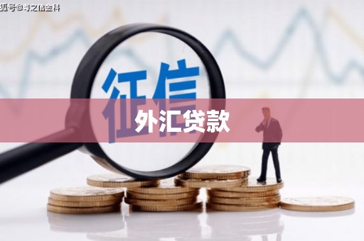 本溪外汇贷款