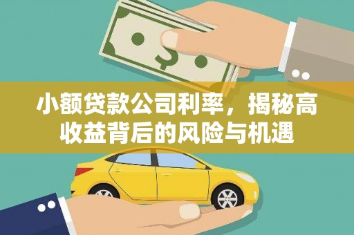 本溪小额贷款公司利率，揭秘高收益背后的风险与机遇
