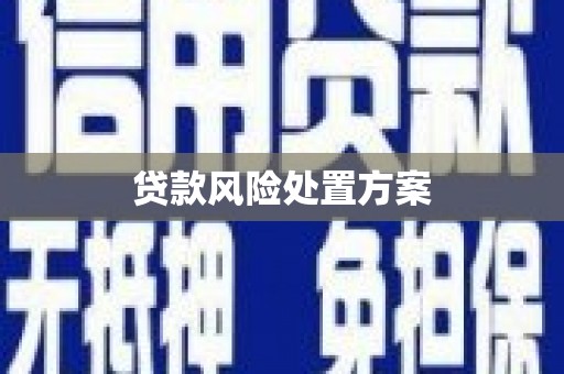 本溪贷款风险处置方案