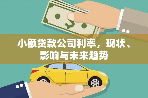 本溪小额贷款公司利率，现状、影响与未来趋势