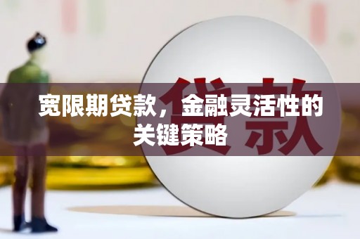 本溪宽限期贷款，金融灵活性的关键策略
