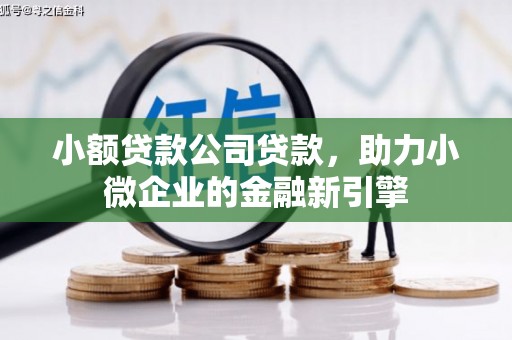 本溪小额贷款公司贷款，助力小微企业的金融新引擎