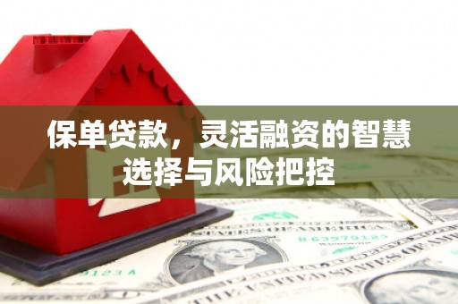 本溪保单贷款，灵活融资的智慧选择与风险把控