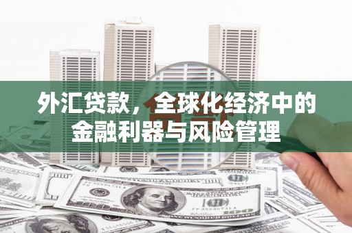 本溪外汇贷款，全球化经济中的金融利器与风险管理