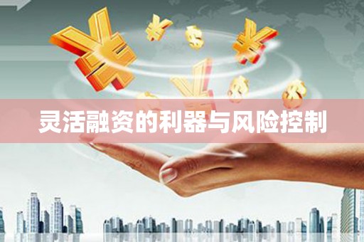 本溪灵活融资的利器与风险控制