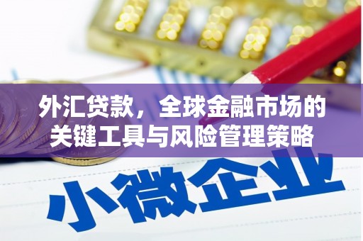 本溪外汇贷款，全球金融市场的关键工具与风险管理策略