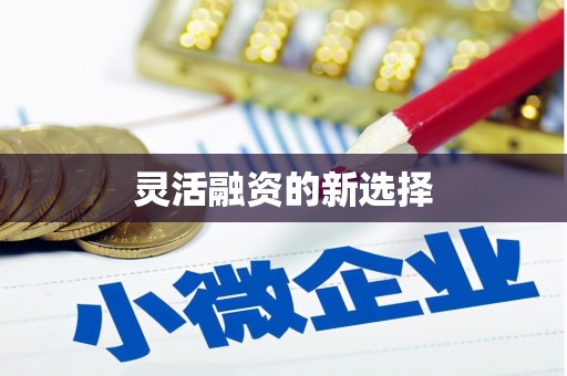 本溪灵活融资的新选择