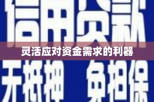 本溪灵活应对资金需求的利器