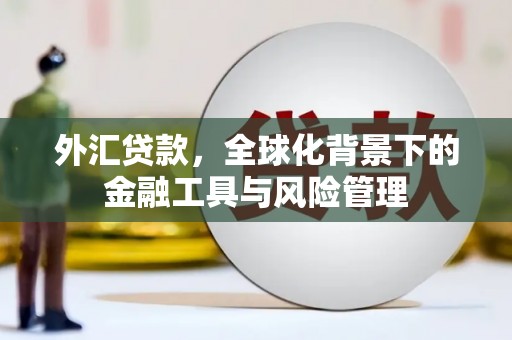 本溪外汇贷款，全球化背景下的金融工具与风险管理