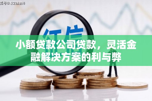 本溪小额贷款公司贷款，灵活金融解决方案的利与弊